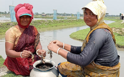 A River Reborn: Transforming Lives through Canal Re-excavation in Paikgacha, Khulna