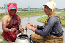 A River Reborn: Transforming Lives through Canal Re-excavation in Paikgacha, Khulna