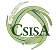 CSISA