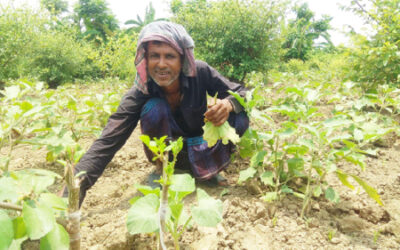 2. Advancing Sustainable Indigenous Agro-ecological Livelihood (ASIA-Livelihood)