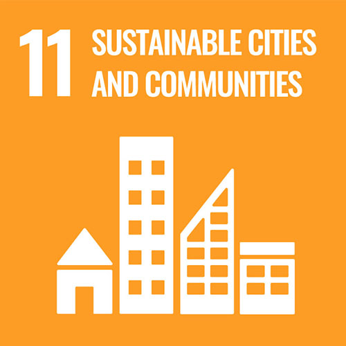 SDG 11