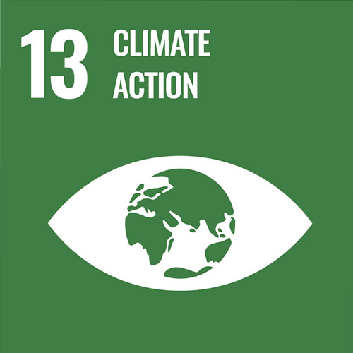  SDG 13