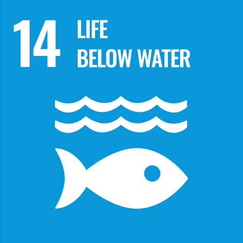  SDG 14