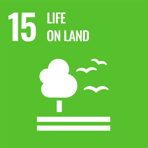  SDG 15