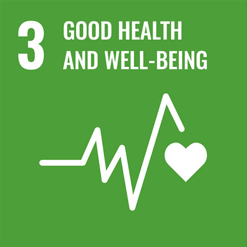 SDG 3