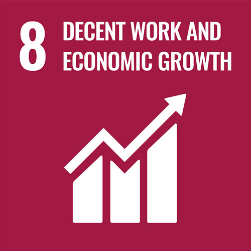  SDG 8